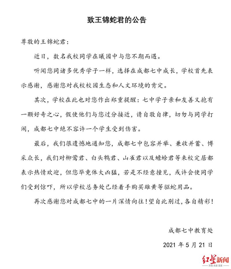 校园公告